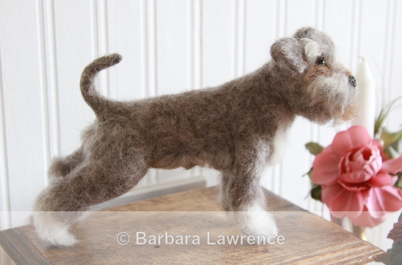 Schnauzer Photo 2. - Gallery