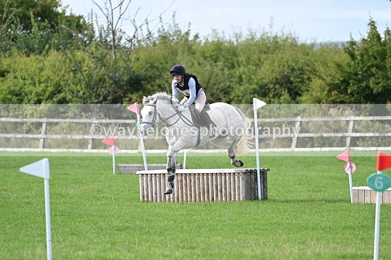 WJ7_8460 - 60cm Pairs