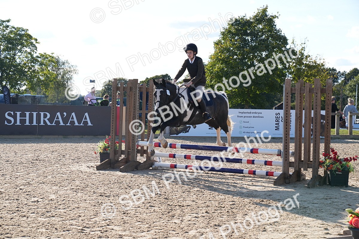 SBM_28027 - J43 - Super Speedy Scurry Open - 60cm