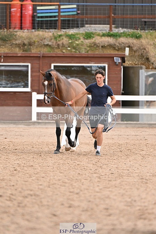 250716-145525-01504 - Trot Up 2.30 to 3.30