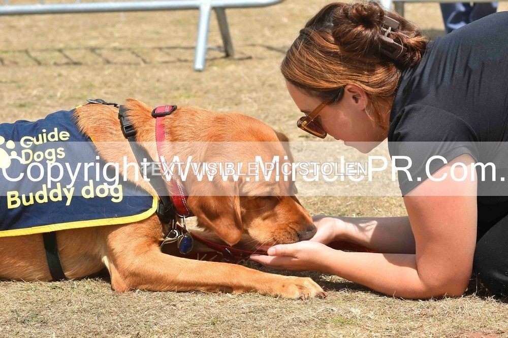 SH4_0243 - Dog show.