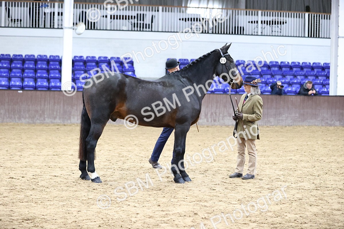SBM_5637 - Class 40 - RESS In Hand Qualifier