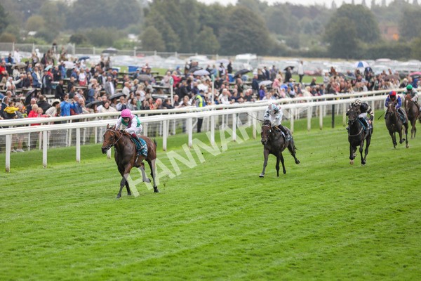 080924-Race 1-Windlord-4331 - Race 1 1.40pm British European Breeders Fund Novice Stakes