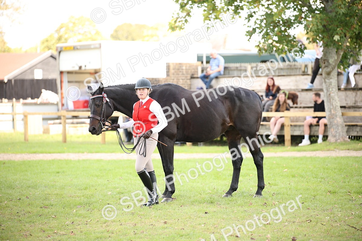 SBM_44419 - S24 - Young Veteran in hand