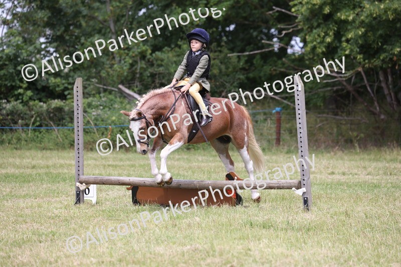 20260614-2039 - Class 21 - Novice Working Hunter Pony