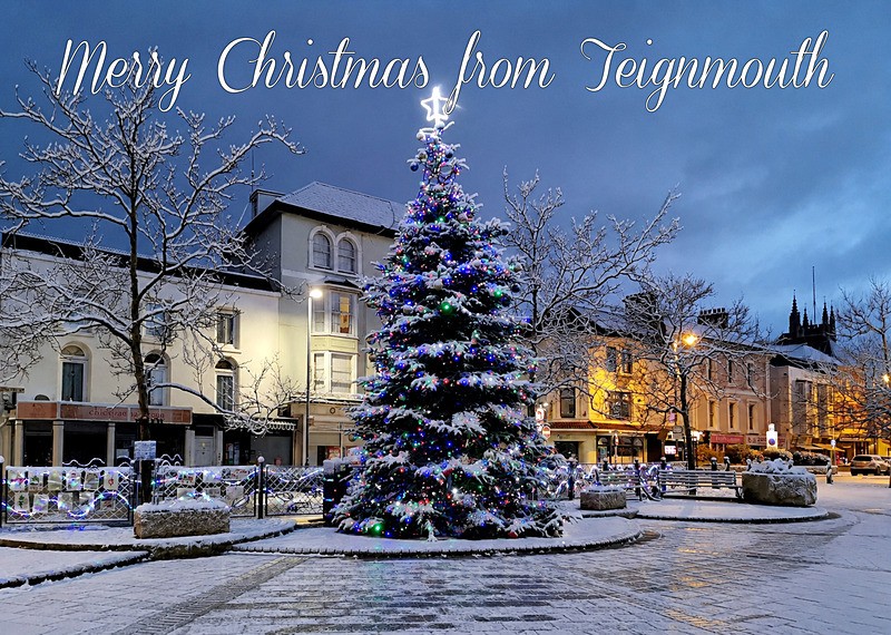 XM067 NEW 2026 - Xmas - Teignmouth xmas tree - XMAS CARDS Teignmouth and Shaldon