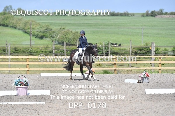 BPP_0178 - SHORT ARENA  MY QUEST PRELIM