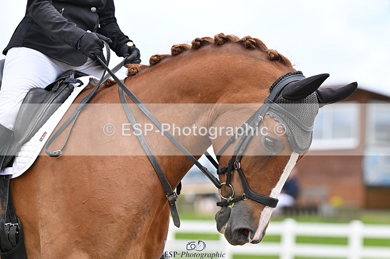 240622A-130949-10480 - Cls 29 BD Elementary 45