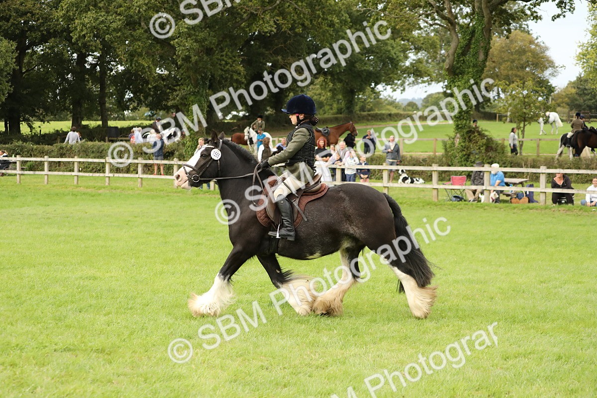 SBM_71690 - S41 - Ridden Equitation (Best Rider)