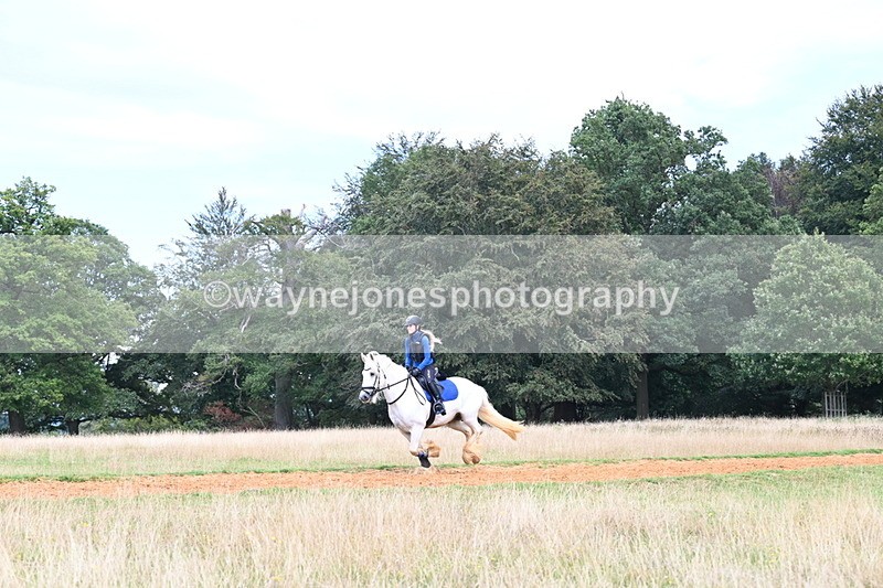 DSC_8741 - Time at Statue 14:33 to 15:10