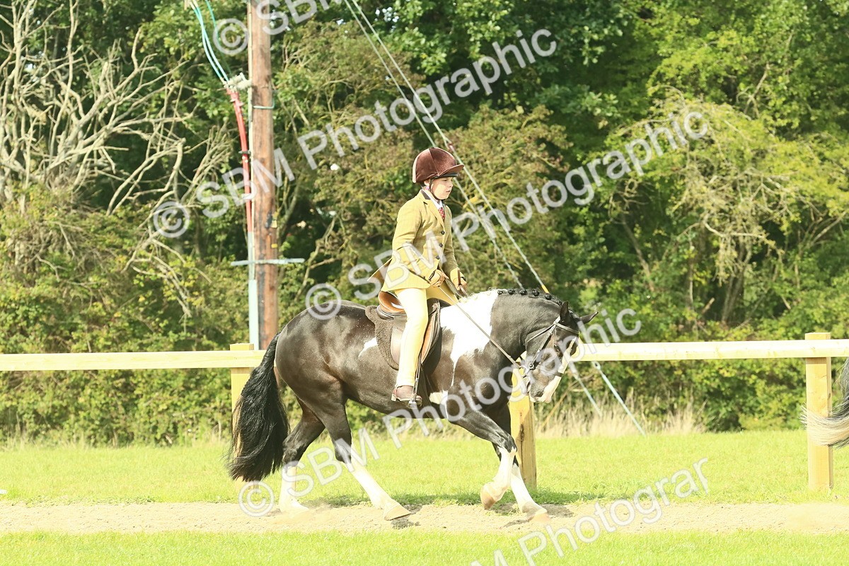 SBM_67480 - S56 - Coloured Pony Ridden