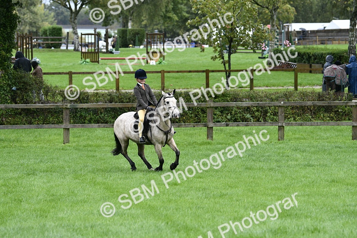 SBM_35548 - S30 - Nursery Stakes Working Hunter Pony