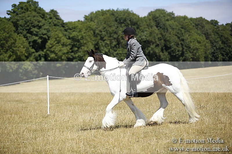 _C7A9910 - BVRC Show 2018 Ring 1