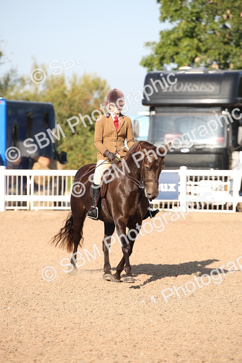 SBM_00676 - Class 14 Ridden M&M Wildcard