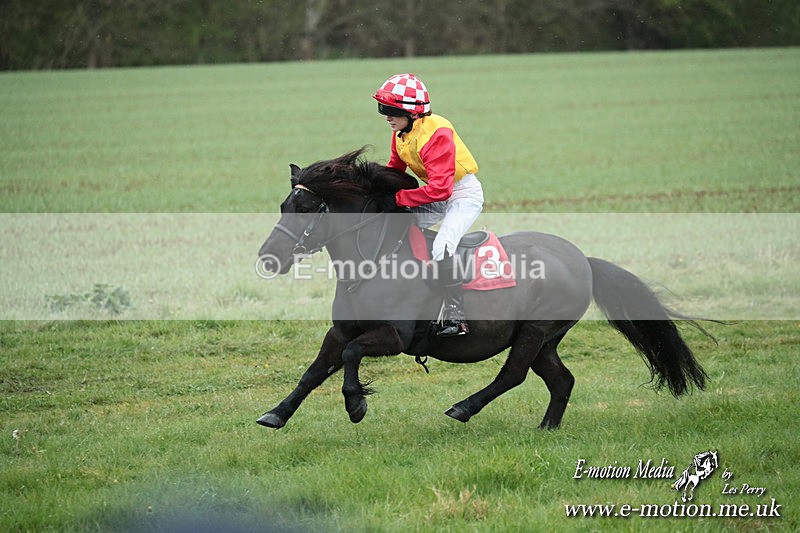 SHETPR 210425 128 - Shetland Ponies Paxford Races 21/04/25