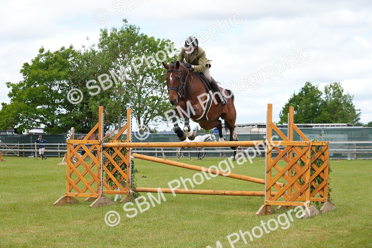 SBM_14948 - Class 100-102 - RIHS Working Hunter