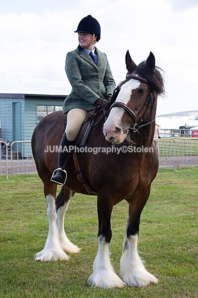 DSC_0226 - Ring 1