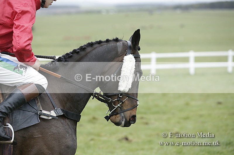 PtP 150320 0270 - New Forest Point-to-Point Larkhill 15/03/20