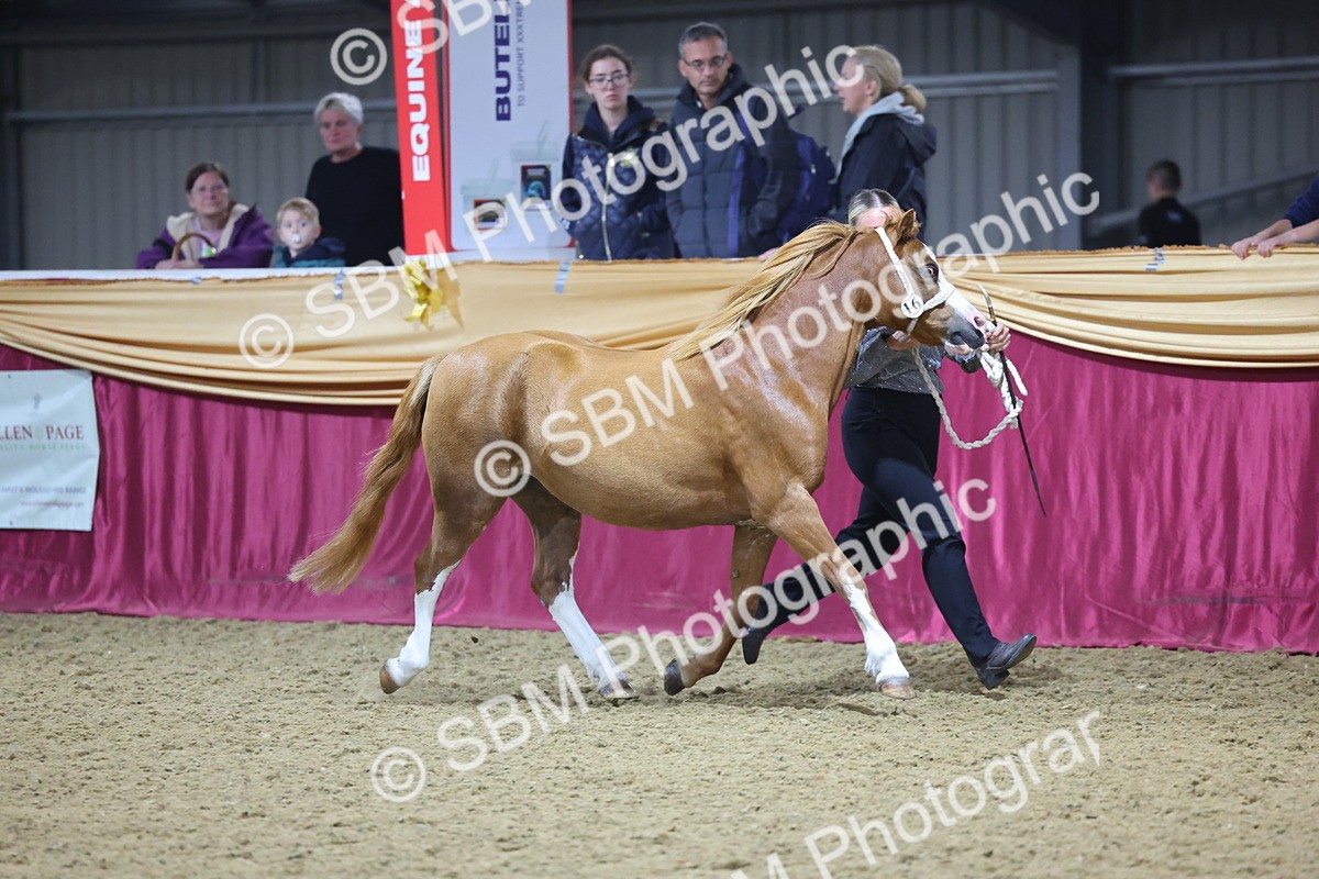 SBM_18939 - Class F Grass Roots Champ
