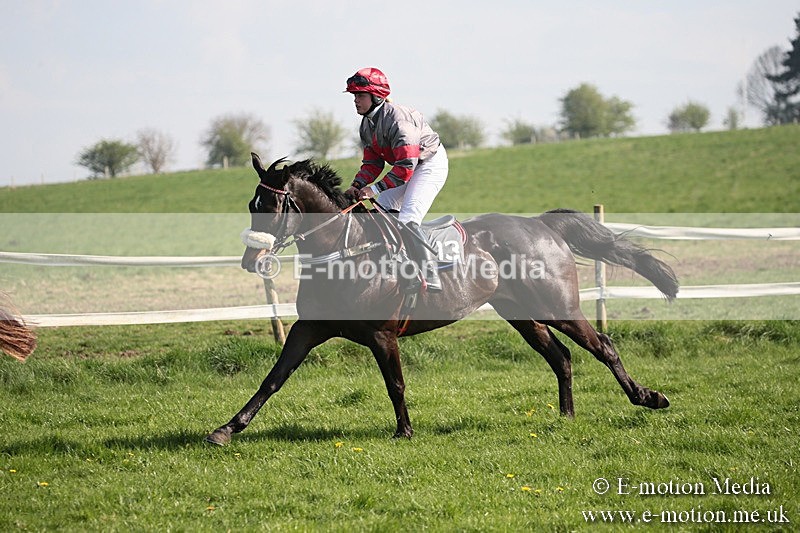 PtP 210418 457 - South & West Wilts Point-to-Point Larkhill 21/04/18
