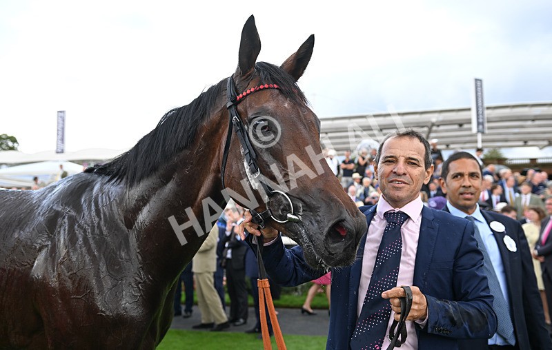 190826-108 Maltese Cross - Race 3 15.00pm Sky Bet Great Voltigeur Stakes