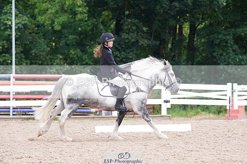 240809A-102014-00496 - Dressage Competition