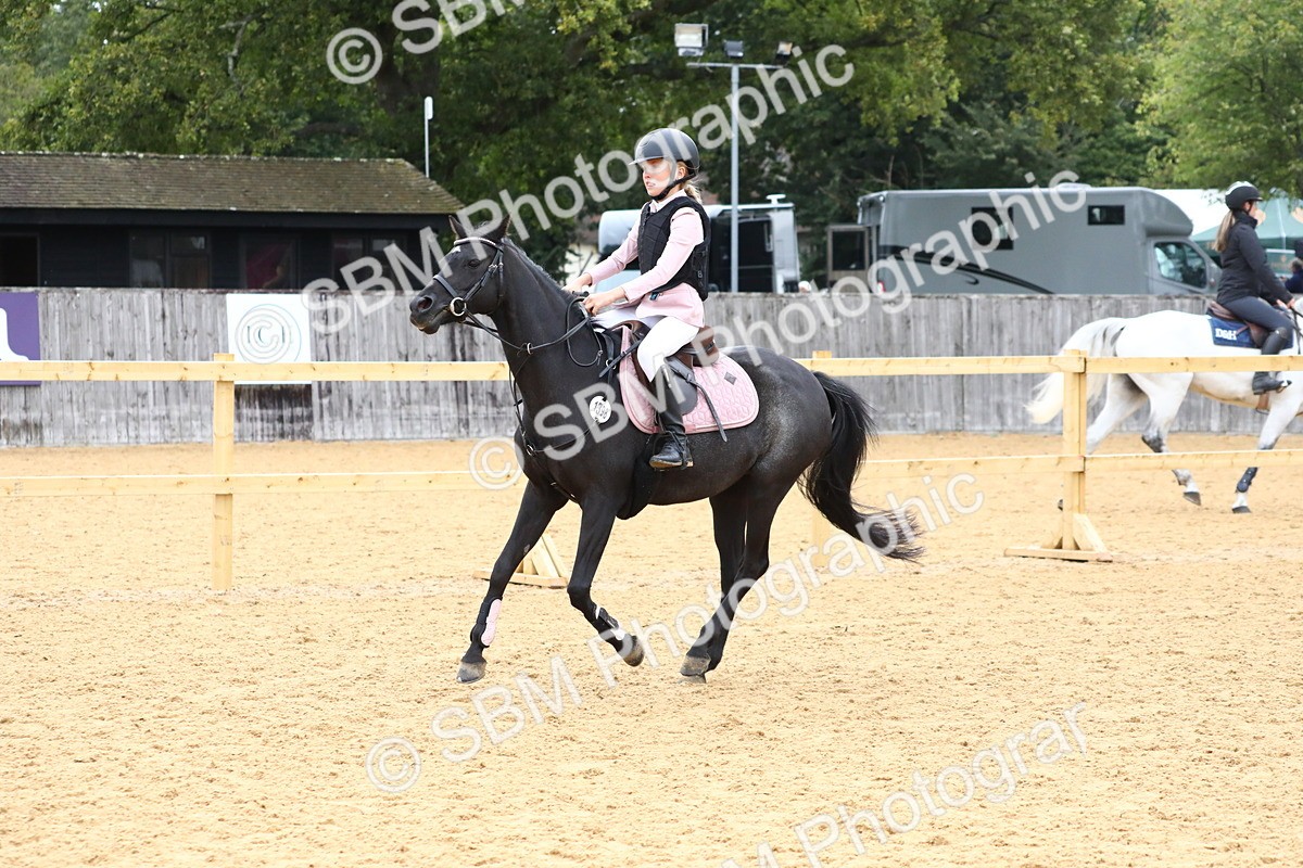 SBM_60055 - J63 - Junior Pony 50cm Championship
