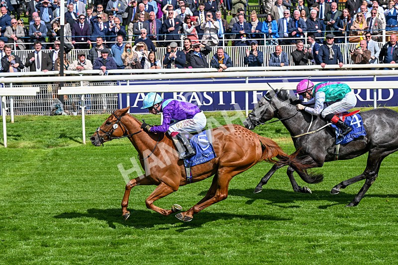 140526-Race 4-See The Fire-0221 - Race 4 3.30pm Al Basti Equiworld Dubai Middleton Fillies' Stakes