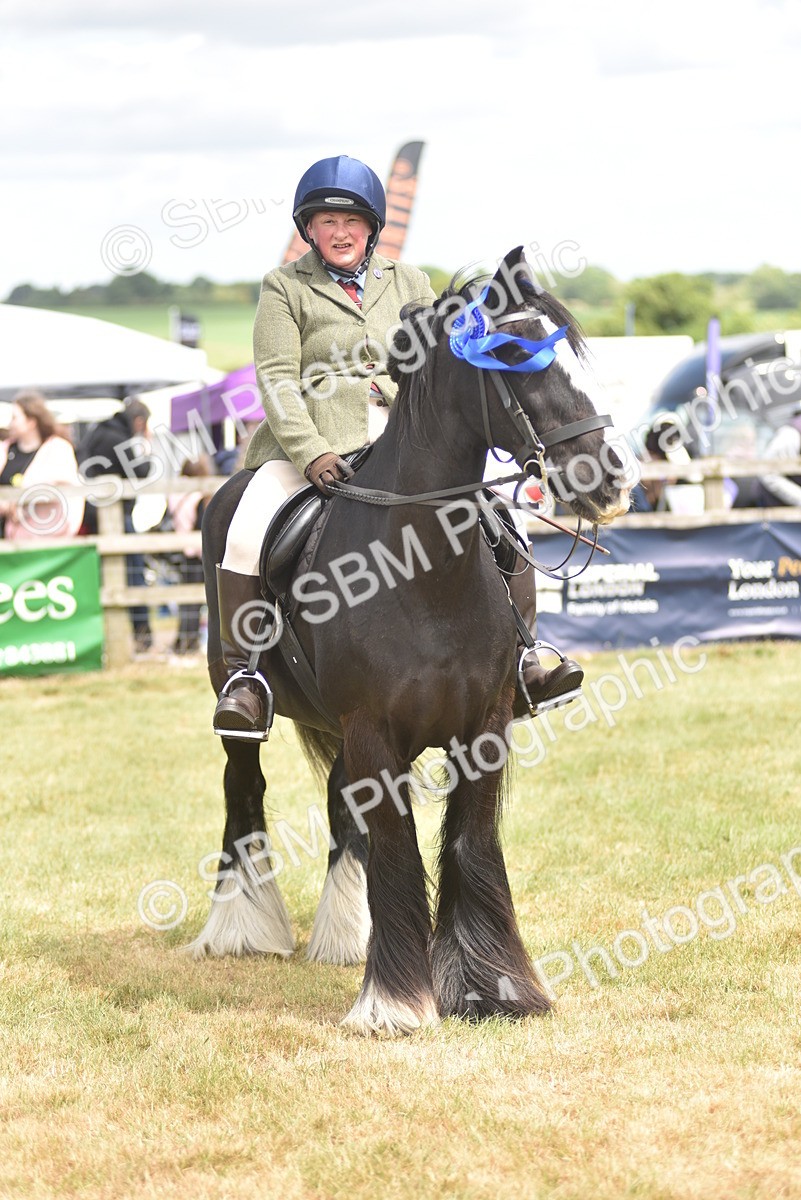 SBM_16004 - Class 117-122 - SSADL RIHS Qualifier