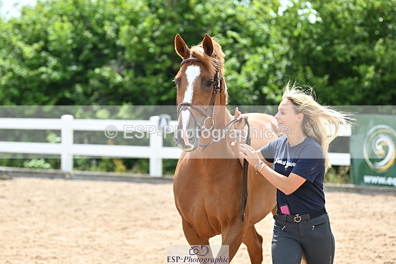 240717A-144407-02253 - Trot Up 2pm to 3pm - This folder is not in time order