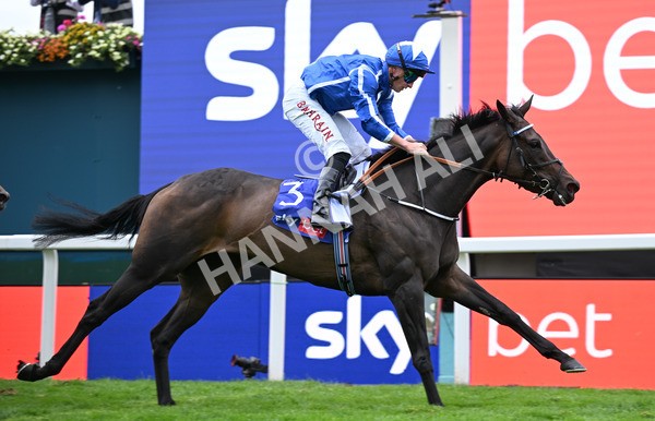 200825-233 Santorini Star - Race 5 4.10pm Sky Bet Stayers Handicap