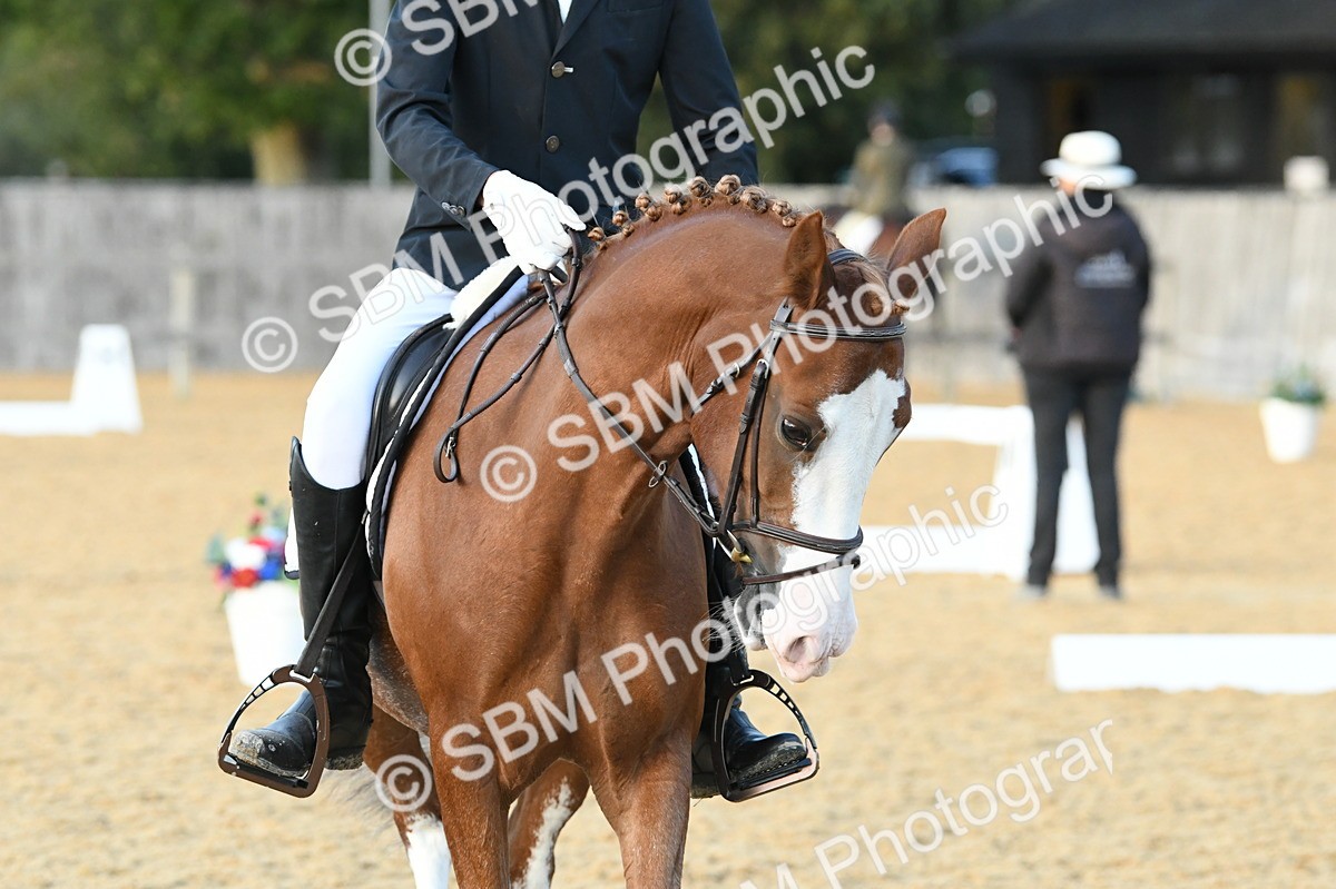 SBM_30992 - D16 - Small Tour Championship - Novice 28