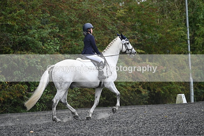 WJ7_6582 - Time 14:49 to 15:14