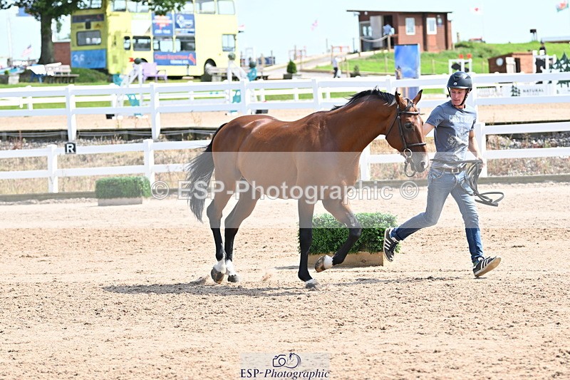 240717A-153013-02848 - Trot Up 3pm to 4pm