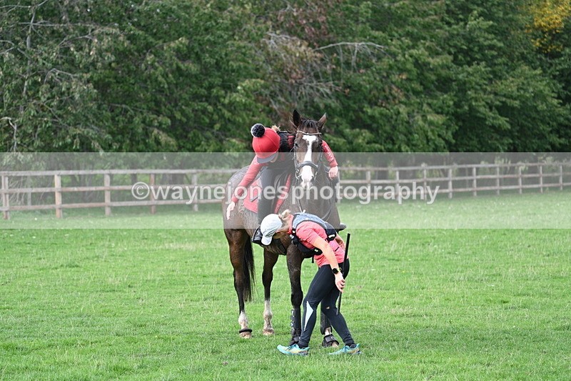 WJ7_9097 - Time 12:40 to 12:54