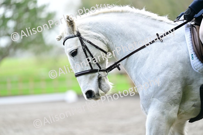 20260125-3640 - Class 12 - Novice