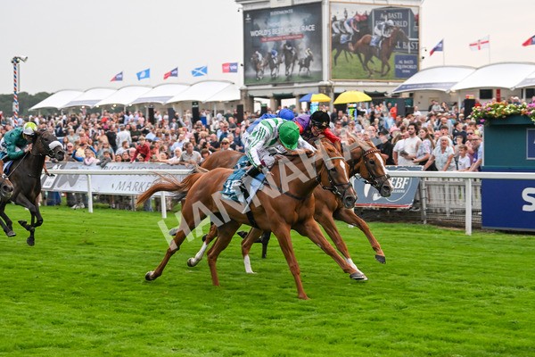250725-Race 5-Sand Gazelle-6053 - Race 5 7.48pm British EBF Lyric Fillies' Stakes