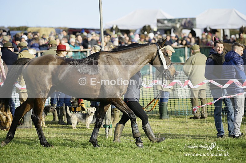 PtP 300122 287 - South Dorset Hunt - Point-to-Point Races 30/01/2022