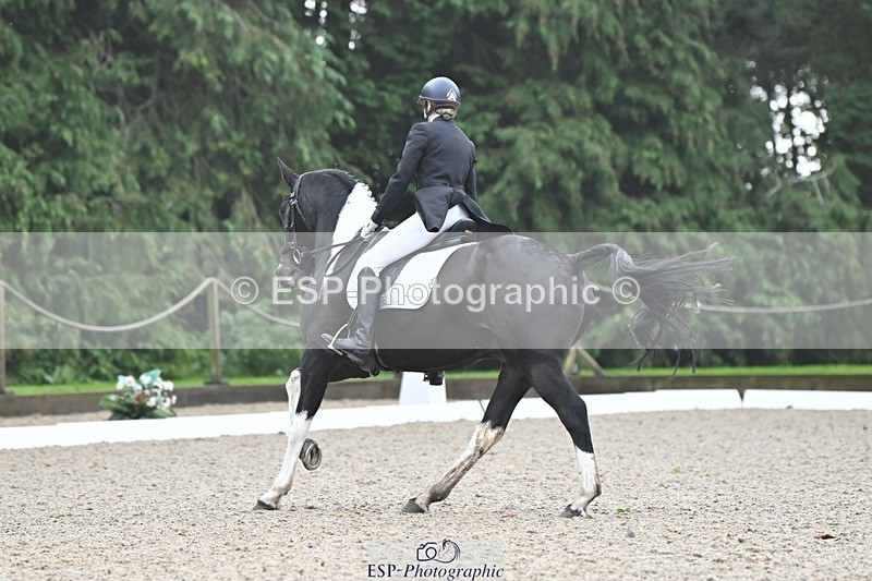 231019-103515-01896 - 101-RICARDO.COLOURS.II-Elizabeth.Wadey-DR