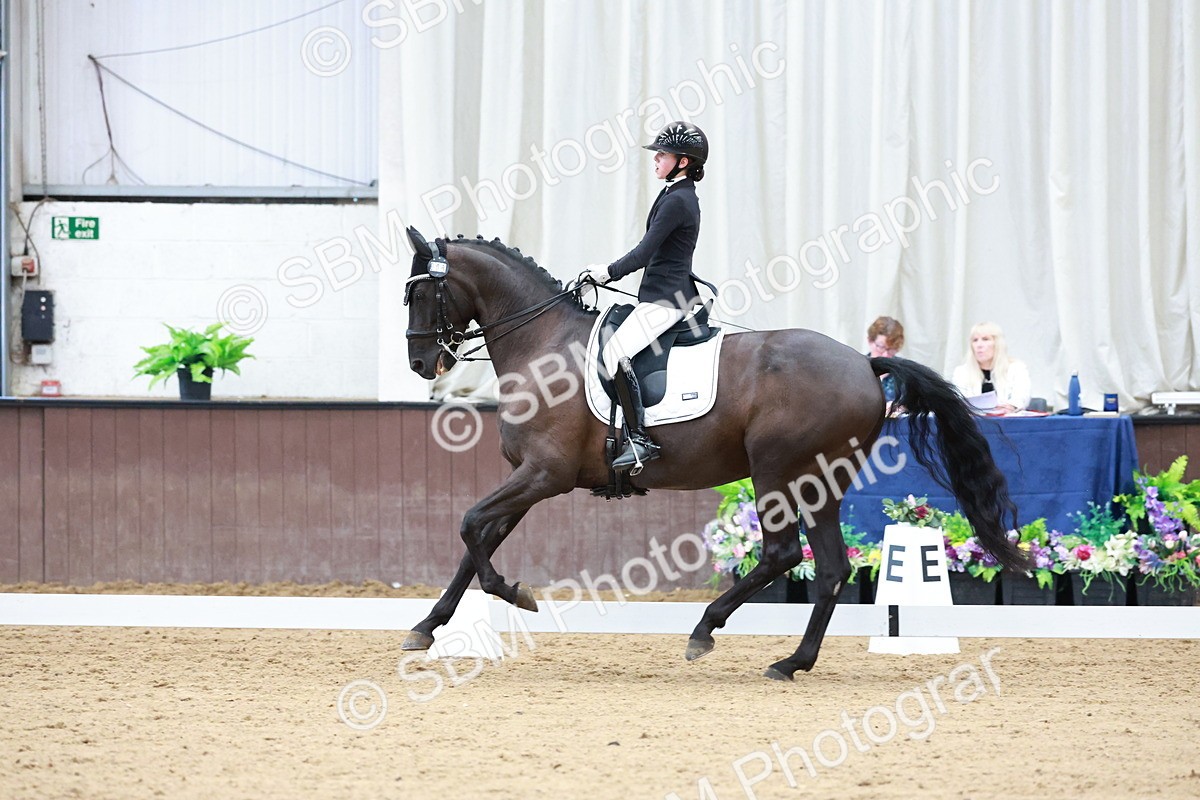 SBM_017768 - Class 15 - FEI Junior