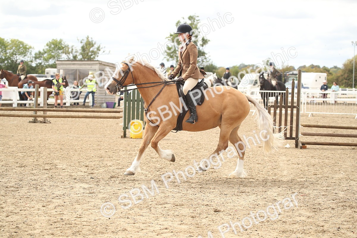SBM_17677 - Class 508a - Working Veteran 70cm (15-19)