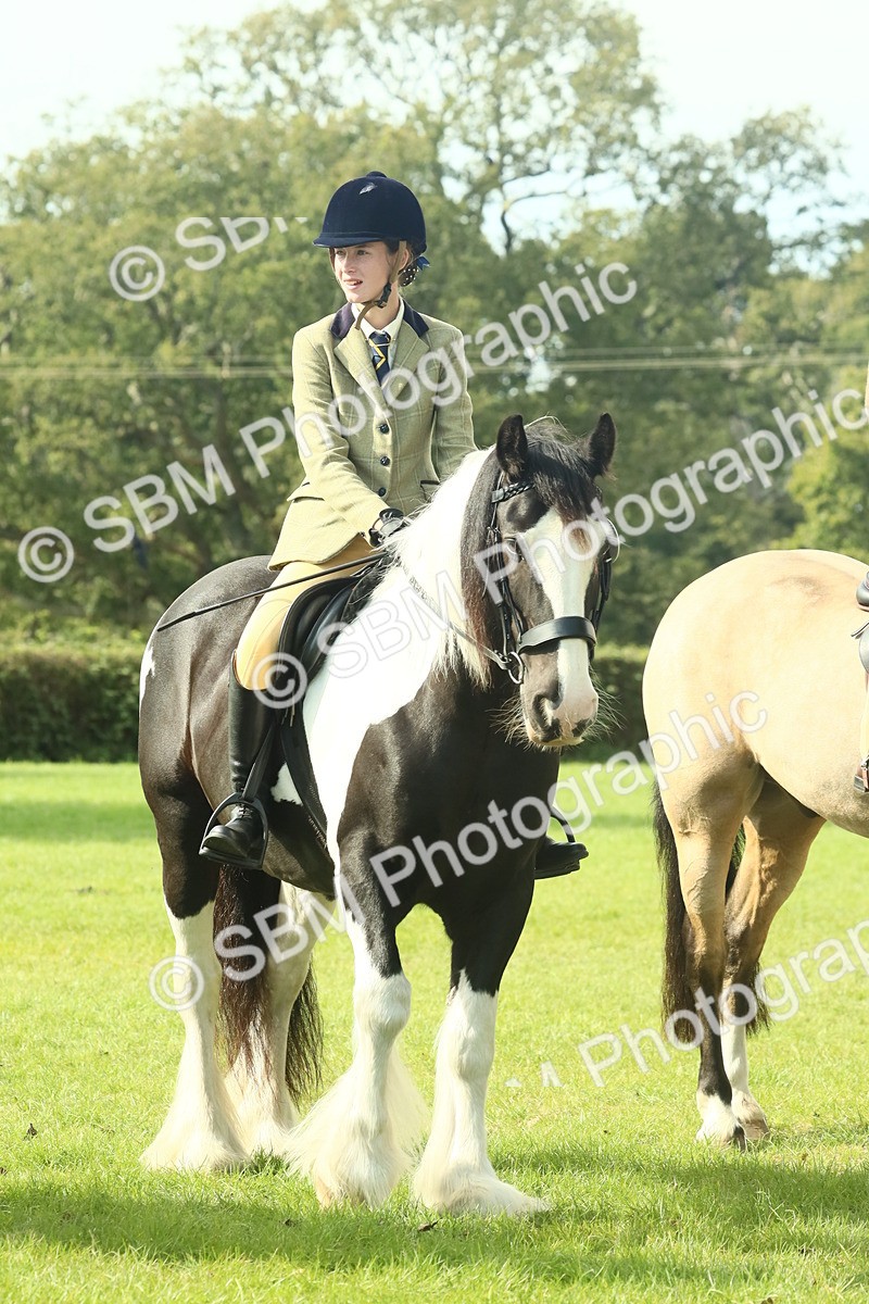 SBM_68942 - S58 - Mini Show Cob Ridden