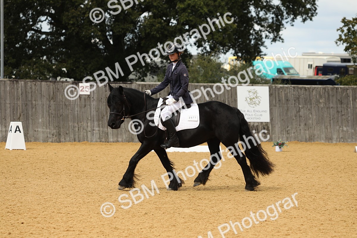 SBM_41743 - D21 - Junior Championship - Intro A