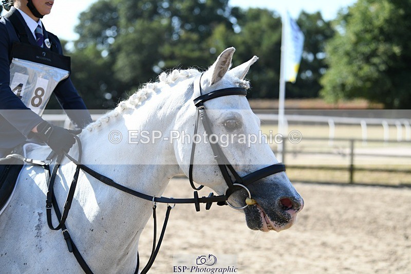 250822A-094230-19684 - NAF Round 1 9.10 to 10.20