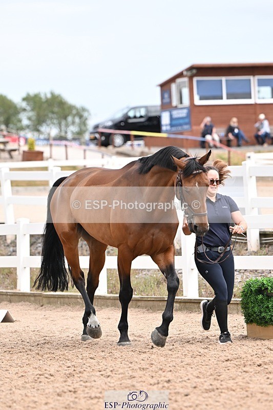 250716-154150-02135 - Trot Up 3.30 to 4.30