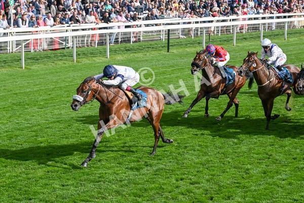 210825-Race 6-Stellar Sunrise-5207 - Race 6 4.45pm Mews Hotel Ossett EBF Stallions Nursery Handicap