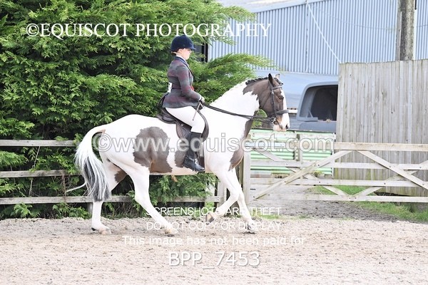 BPP_7453 - RING 1  (RIDDEN HORSES / IN HAND / VETERAN ETC)