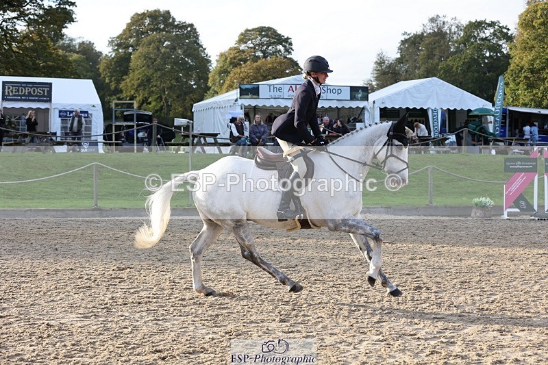 241027-151959-18260 - Presentations - BE100 3DE