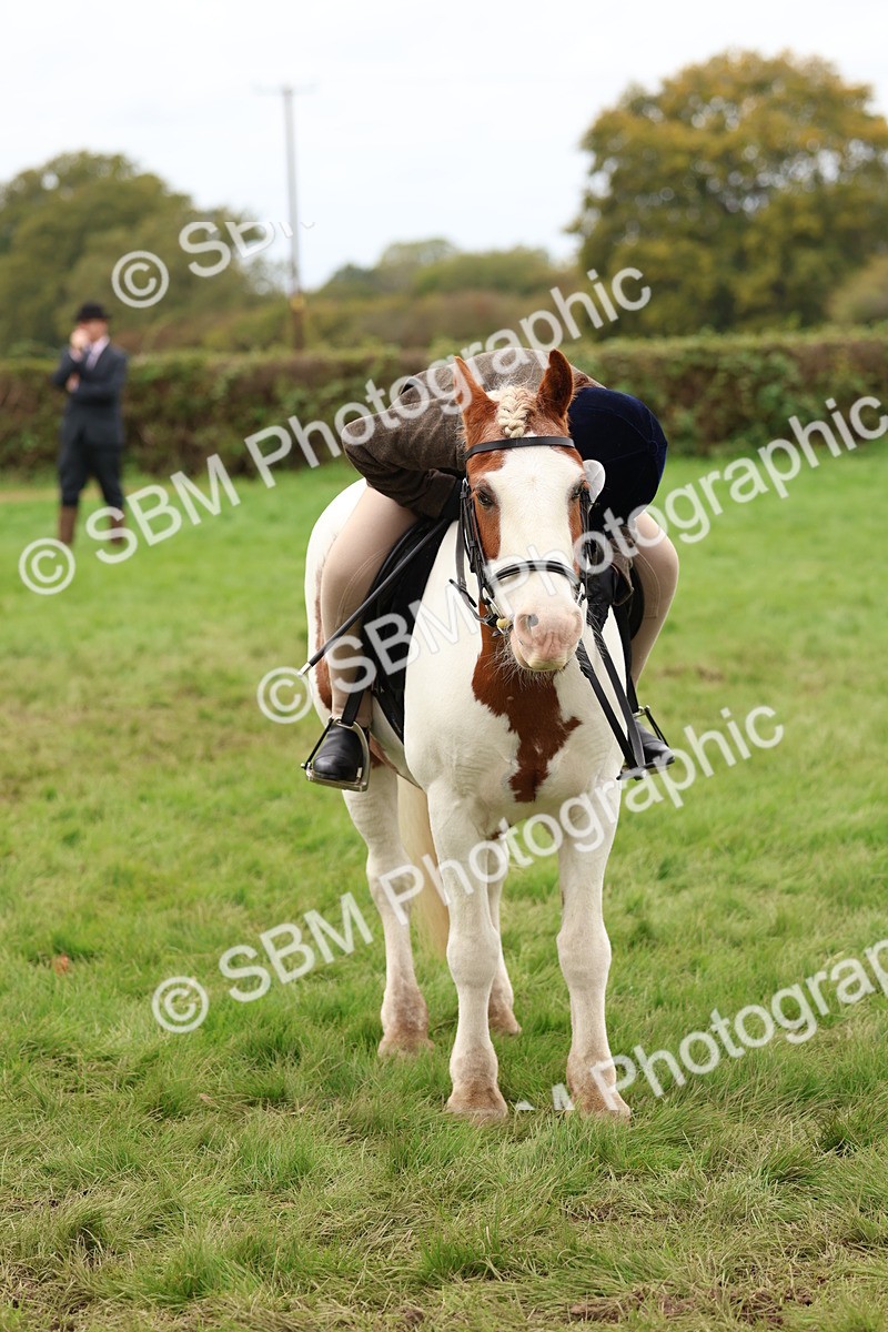SBM_64574 - S58 - Coloured Pony Ridden