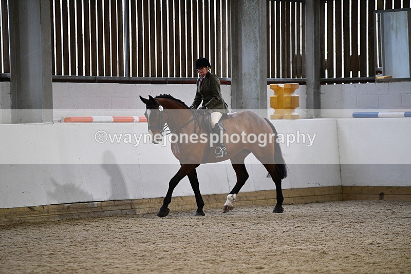 WJ5_8992 - Class 15 Ridden Show Horse